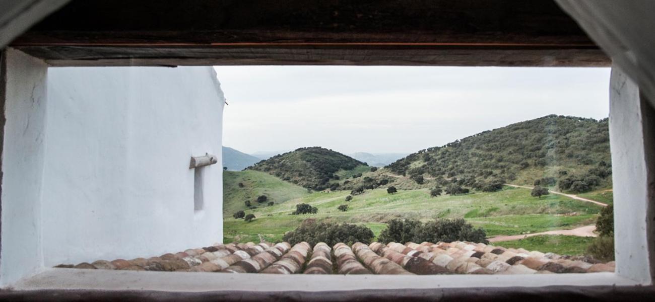 La Donaira Vendégház Montecorto Kültér fotó