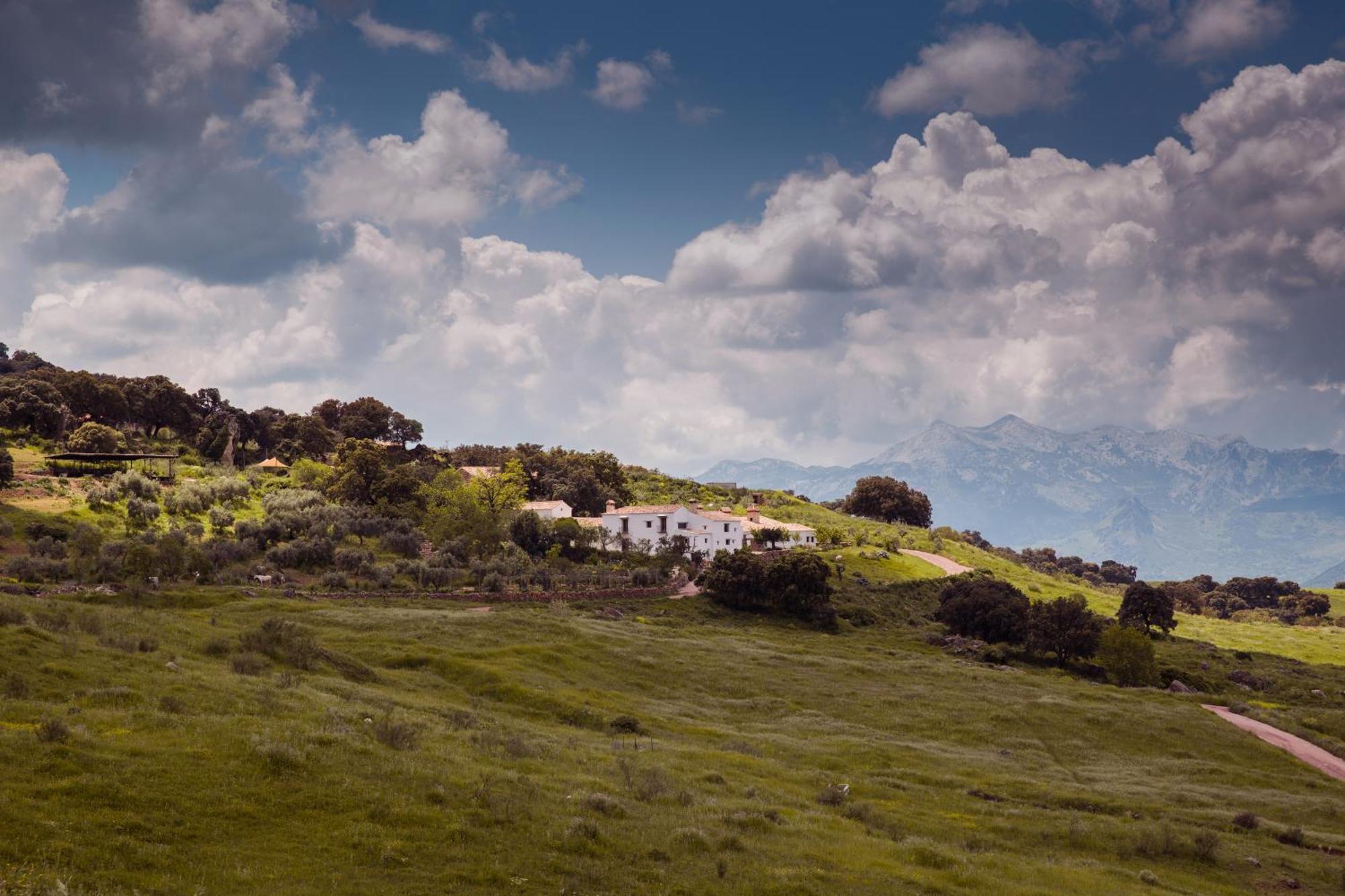 La Donaira Vendégház Montecorto Kültér fotó