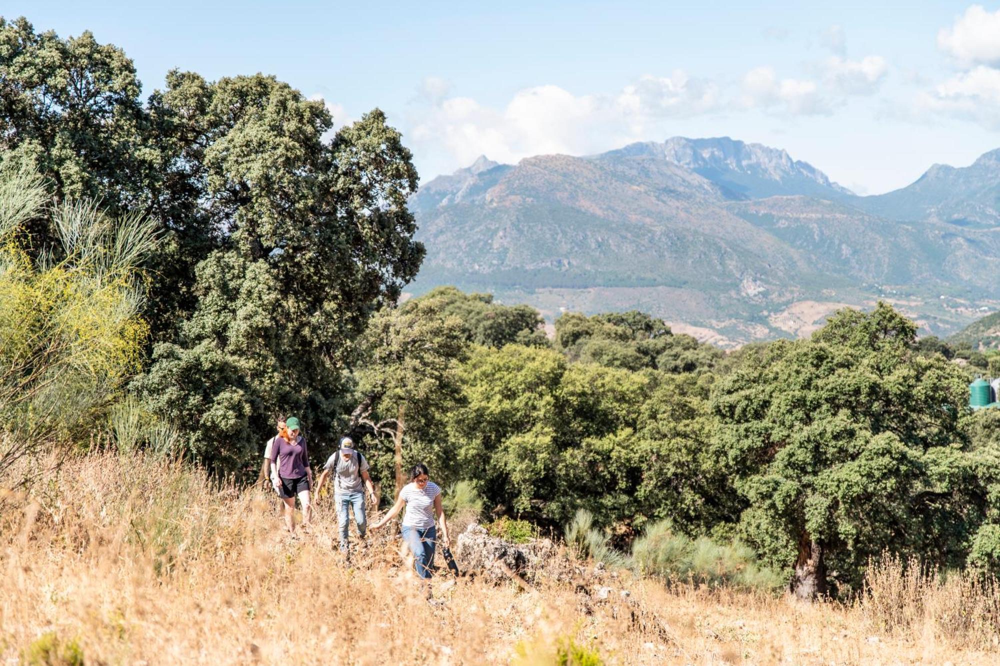 La Donaira Vendégház Montecorto Kültér fotó